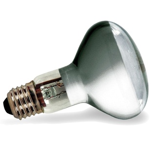 ECO-ALOGENA  R80 53W E27 LIGHTX