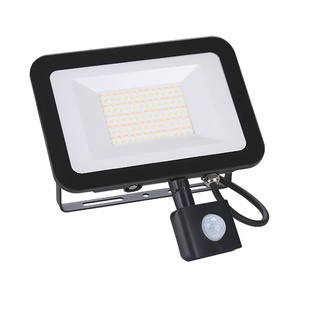 PROIETTORE LED 20W PIR 346 ADRIATICO